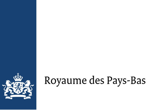 logo-royaume_des_paysbas_bleu